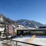 Roslehen 호텔 4*